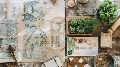 Jak zaplanować wymarzone ogrody?