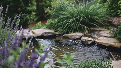 Projektowanie ogrodu terapeutycznego krok po kroku